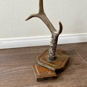 Decorative Deer Antler Mounted On A Wooden Plaque